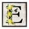 Stupell Industries Lemon & Bee E Letter Floater Framed Canvas Wall Art Design by Creatif Belle